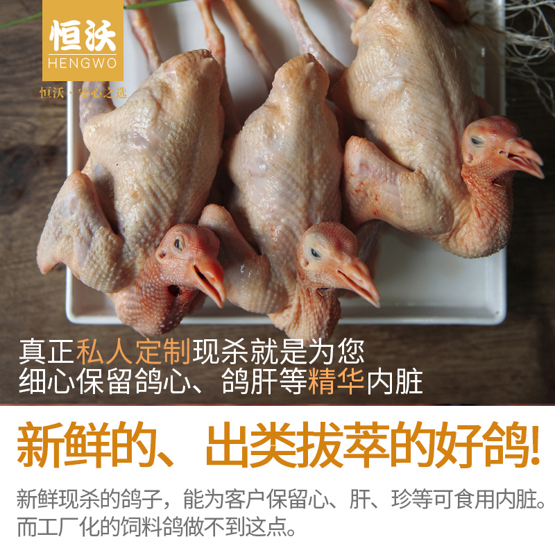 浙江新鲜土鸽子3只乳鸽农家散养活体现杀大肉生鲜煲汤炖有老鸽子