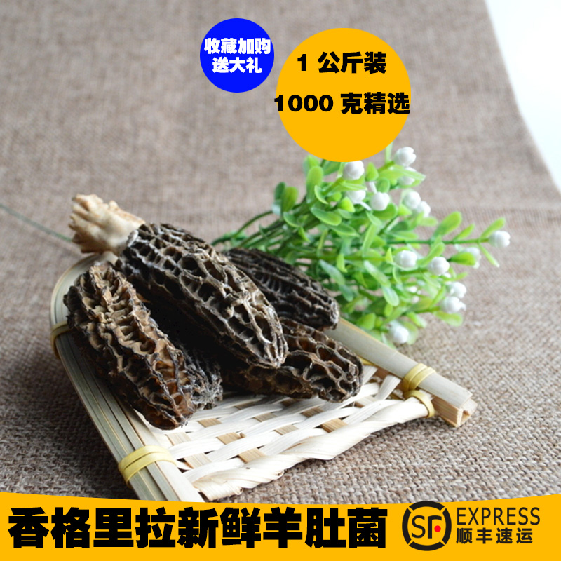 云南香格里拉高原新鲜仿野生新鲜羊肚菌500克1公斤非干货菇蘑特产