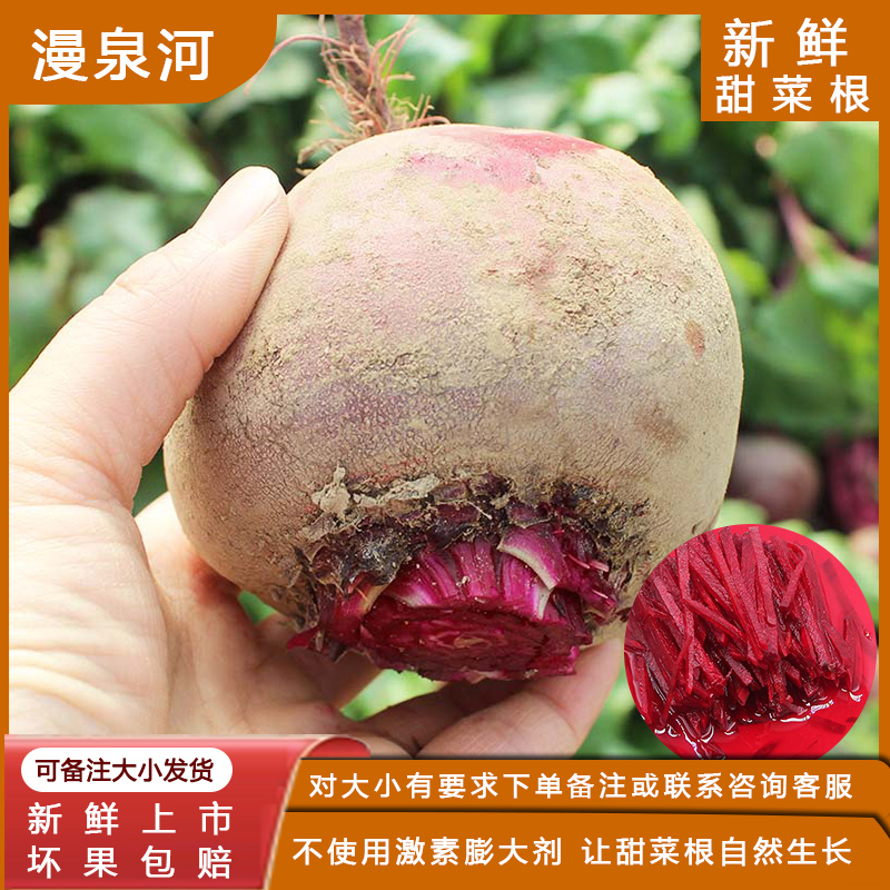 新鲜甜菜根 5斤 紫菜头 红菜头 红甜菜 农产品蔬菜 产地直发包邮