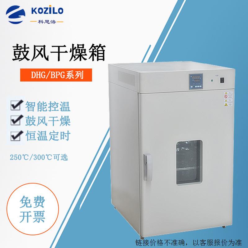 苏州电热恒温鼓风干燥箱DHG-9240A厂家供应台式热风循环烘箱 工业
