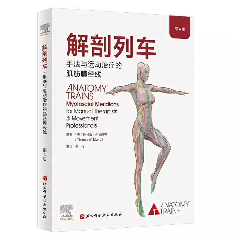 正版解剖列车 关玲 北京科学技术出版社 手法与运动治疗的肌筋膜经线  奈特人体解剖图谱医学基础教材书籍