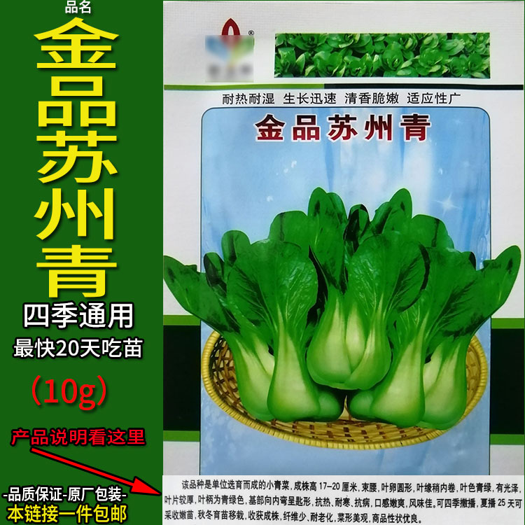 金品苏州青10g小白菜上海青菜鸡毛菜菜籽种子孑阳台盆栽籽四季播
