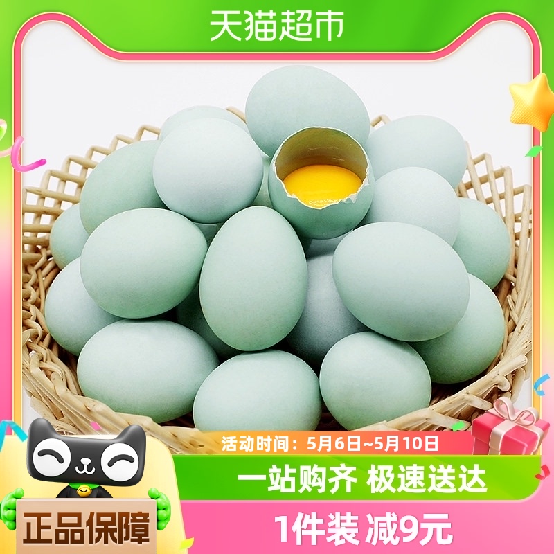 晨诚绿壳土鸡蛋新鲜农家放养散养谷物蛋45g*40枚乌鸡蛋青壳土鸡蛋