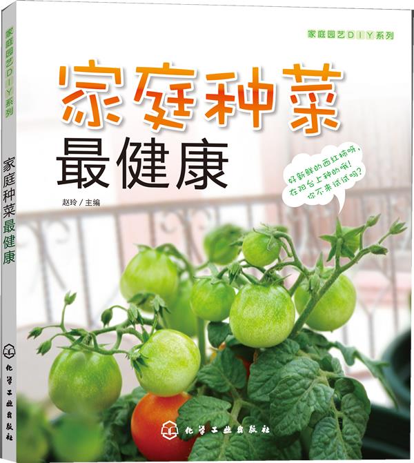 【正版包邮】 家庭园艺DIY系列--家庭种菜最健康 赵玲 化学工业出版社