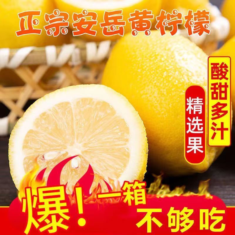 新鲜黄柠檬重庆黄柠檬当季水果绿色三级现摘皮薄护肤多汁包邮5斤