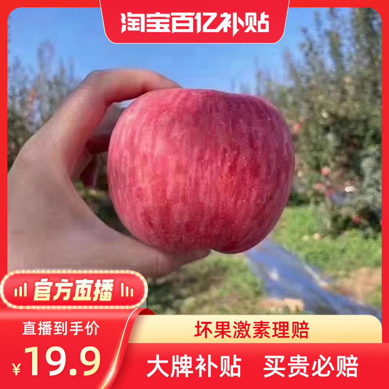 【官方直播】陕西延安洛川红富士苹果高原山地红富士苹果