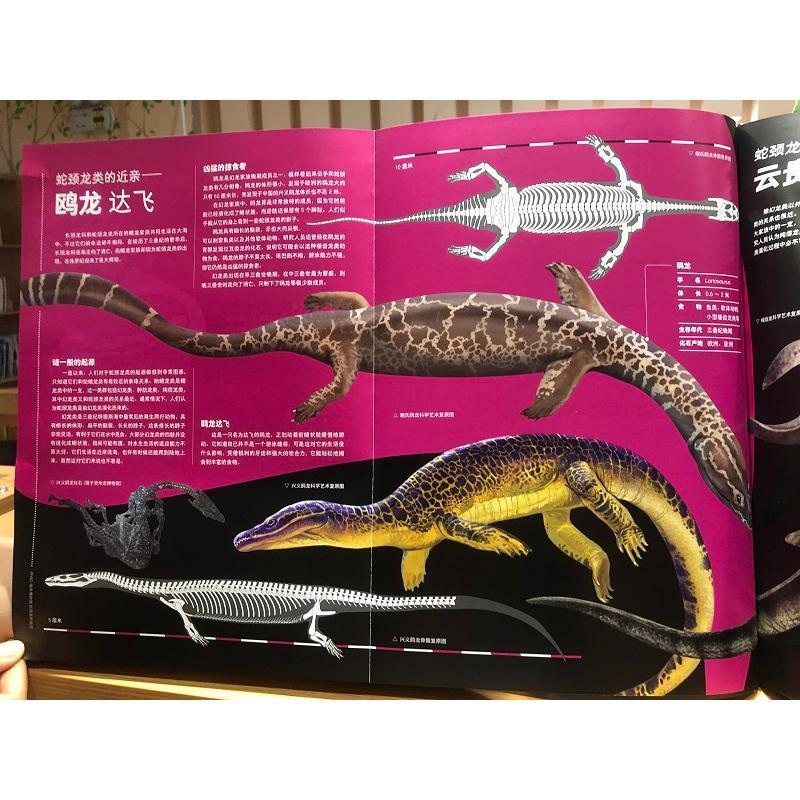[rt] PNSO海洋博物馆:蛇颈龙的秘密:The secrets of plesiosauria 9787121410338  杨杨 电子工业出版社 自然科学