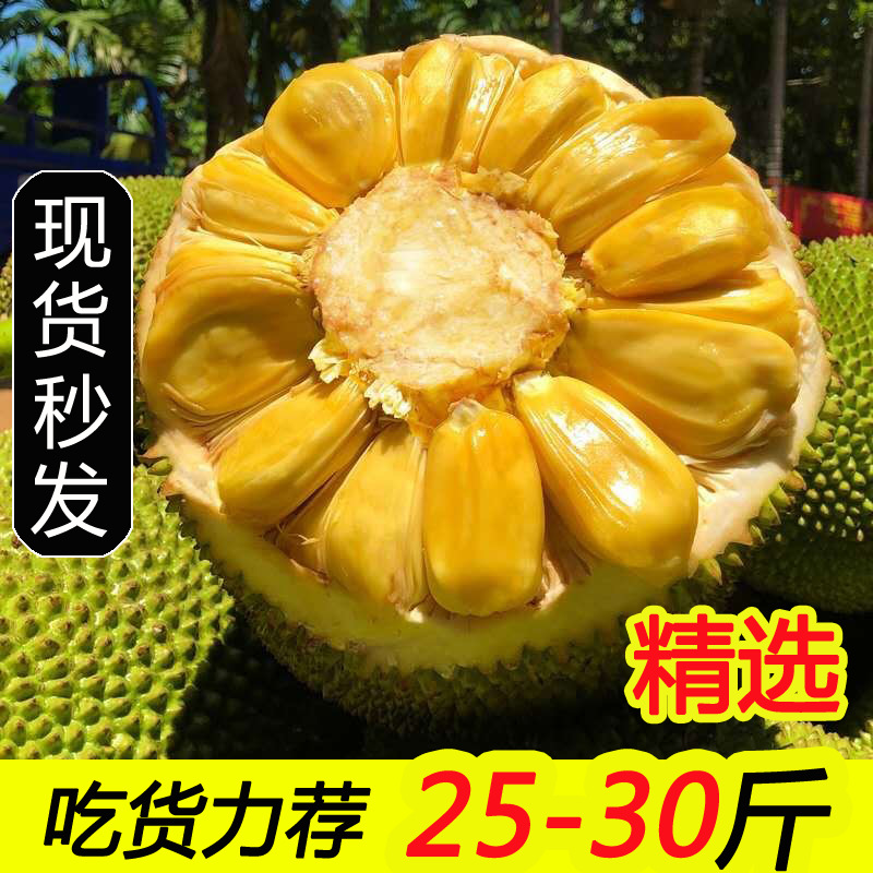 海南水果三亚黄肉菠萝蜜新鲜水果包邮20-30斤一整个当季波罗蜜