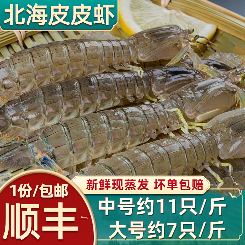 皮皮虾鲜活特大超大海鲜水产琵琶虾虾爬子新鲜北海濑尿虾蒸熟发货