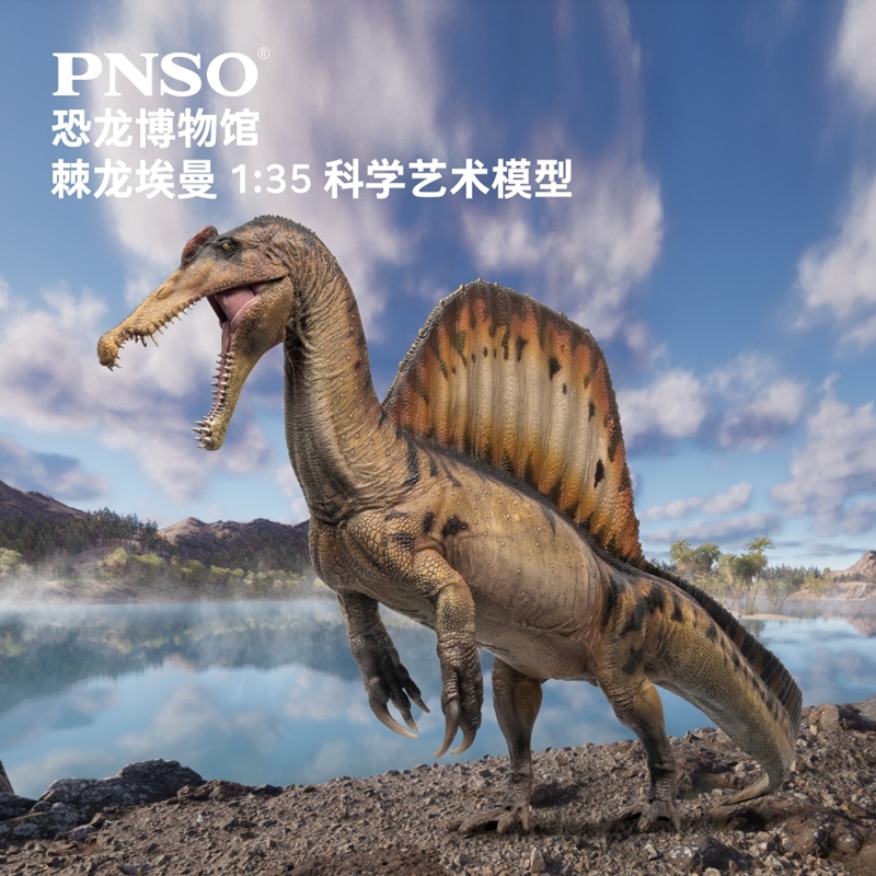PNSO棘龙埃曼附棘龙头骨恐龙博物馆1:35科学艺术模型