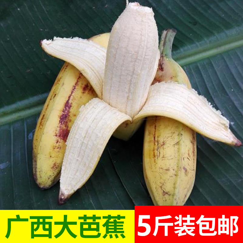 广西大芭蕉牛蕉蕉5斤新鲜水果banana 非香蕉小米蕉西贡蕉包邮