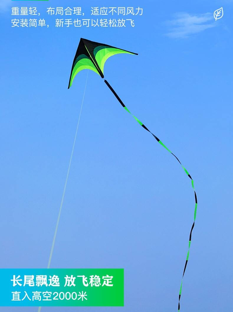 潍坊网红风筝大人专用特超大型号微风易飞中国风2021年新款型