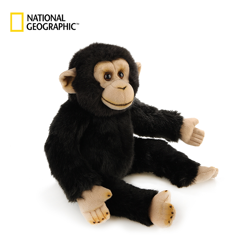 黑猩猩 国家地理毛绒玩具雨林系列仿真动物玩偶男女生日礼物品