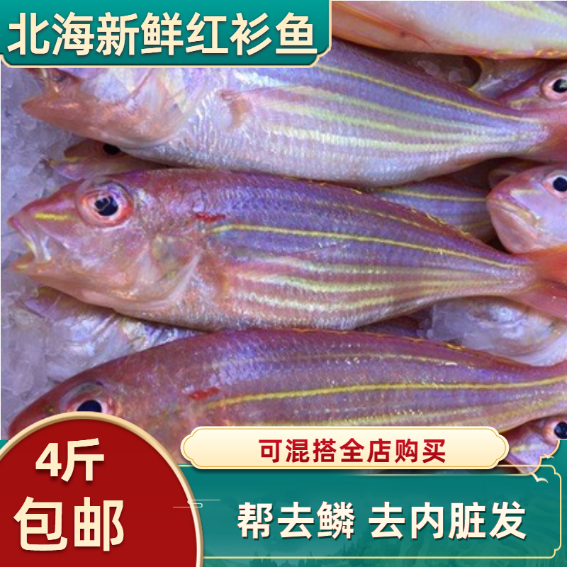 去鳞去内脏红杉鱼新鲜海鲜水产金丝鱼鲜活冷冻海鱼红三鱼海捕金线