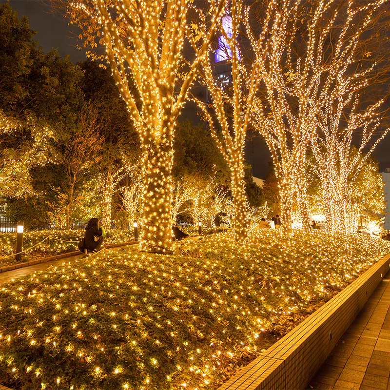 彩阳能户外庭院灯灯灯串树灯防水串58475灯花园景观布置装饰星太