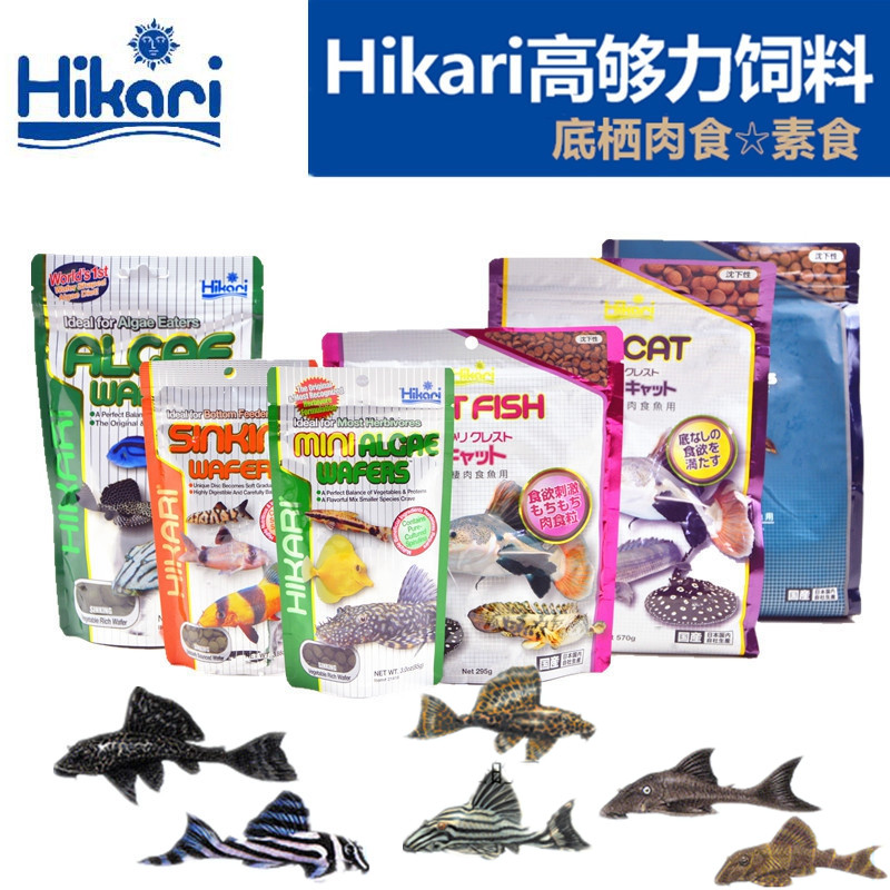 日本Hikari高够力老鼠鱼异型鱼素食饲料OCTO鱼粮卓比克贴片底栖鱼