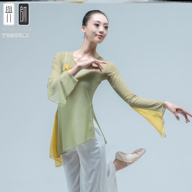古典舞民族现代身韵舞蹈演出服中国舞练功服拼色上衣女艺考纱衣