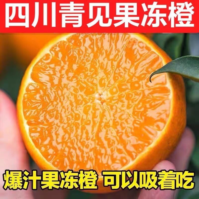 四川正宗青见果冻橙手剥橙应季新鲜水果孕妇柑橘橙子5斤整箱现摘