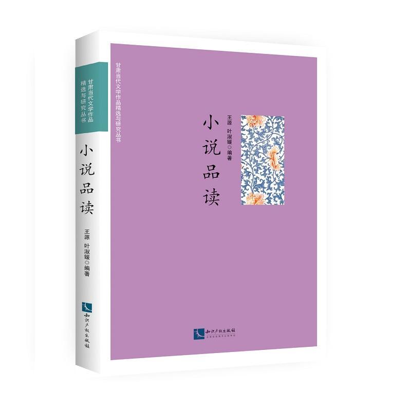 [rt] 小说品读  王源  知识产权出版社  文学  小说研究中国当代