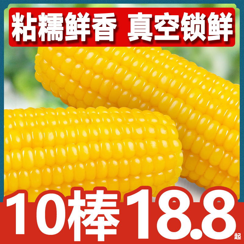 东北黑龙江鲜食甜糯玉米10棒真空包装新鲜玉米黄苞米粗粮非即食