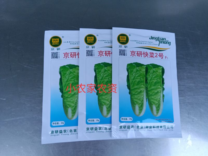 京研快菜2号白菜种子 快菜种子 小白菜种子 夏秋蔬菜种子 20g