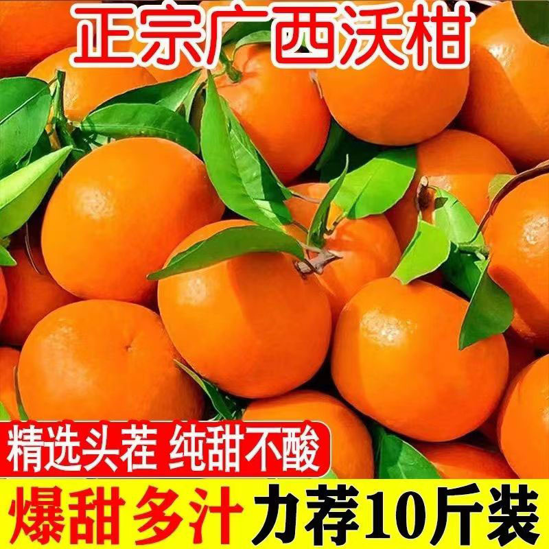 广西武鸣沃柑超甜水果新鲜应季砂糖橘子薄皮网红桔子橙子果园直发