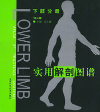 【正版包邮】 实用解剖图谱：下肢分册（D二版） 高士濂 上海科学技术出版社