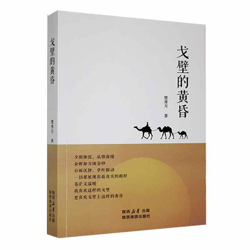 RT69包邮 戈壁的黄昏陕西旅游出版社文学图书书籍