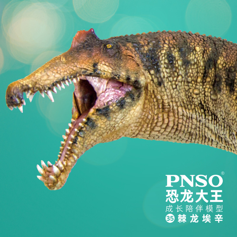 PNSO棘龙埃辛恐龙大王成长陪伴模型35