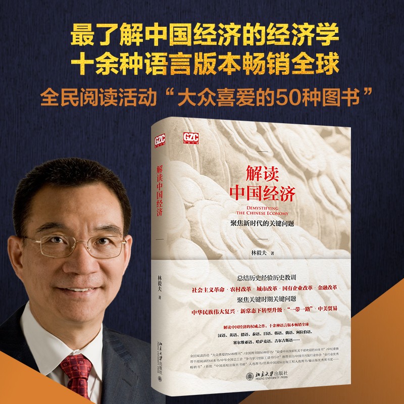 正版 解读中国经济 林毅夫著 增订版 经济学原理 经济管理微观经济学书籍中国改革