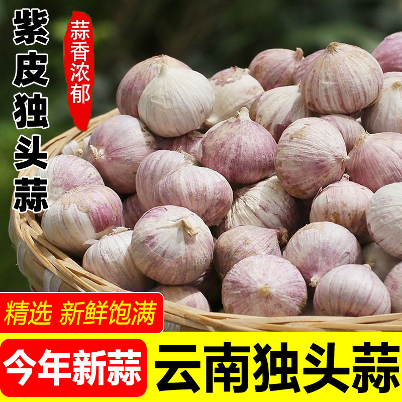 云南高原农家新鲜紫皮干大蒜独头蒜10斤特大果绿色无污染健康蔬菜
