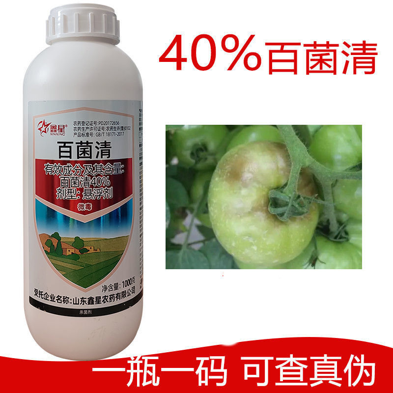 山东鑫星 40%百菌清 悬浮剂 番茄早疫病 农药杀菌剂瓶装1千克