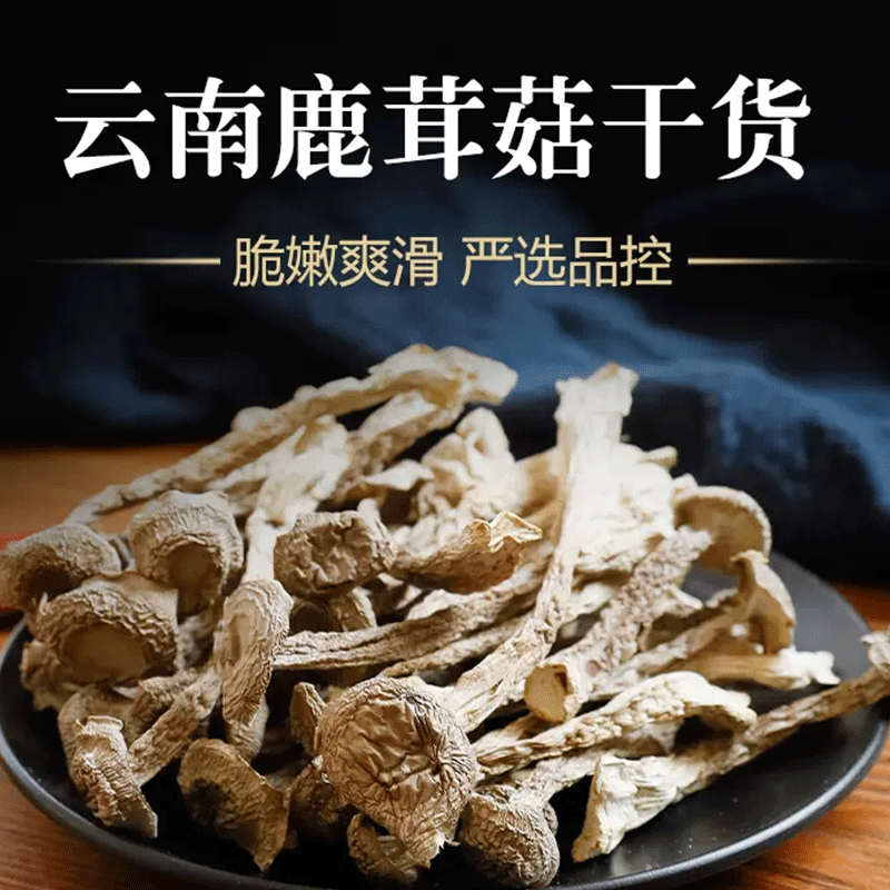 云南野生菌鹿茸菇干货煲汤食材特级鹿茸菌500g食用香蘑菇基地直销