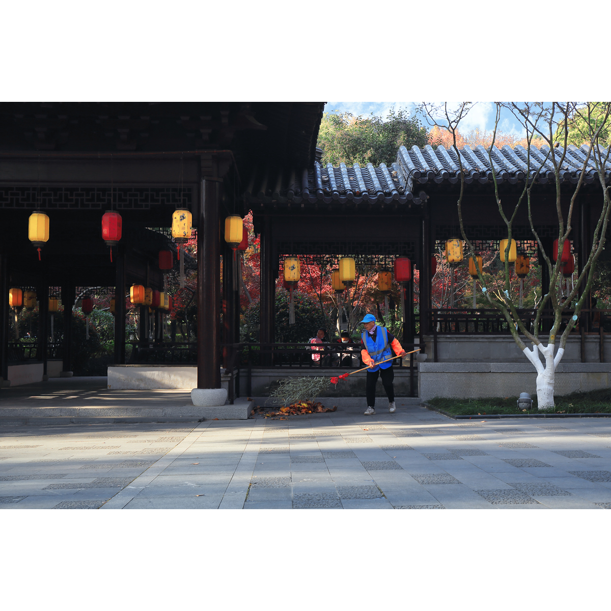 原创纪实摄影-公园的美丽风景(1张) 南京市清洁工实拍素材