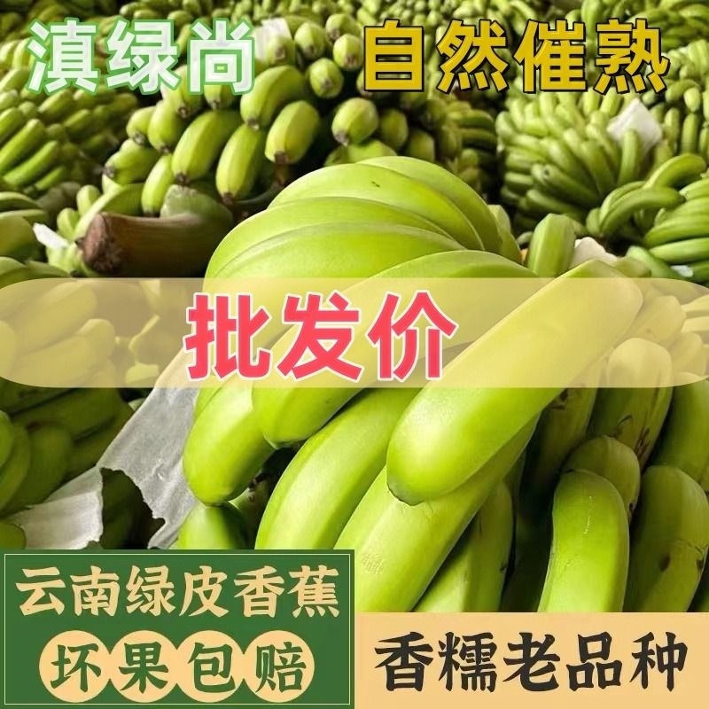 天天特价新鲜香蕉banana水果农家现砍现发包邮可食用种植绿皮带箱