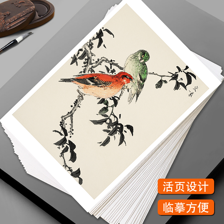 国画临摹卡花鸟名家木板画中国风初学者绘画入门绘画教学全套48幅