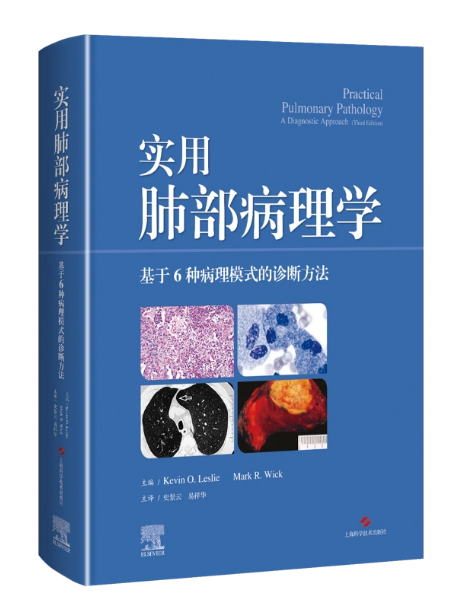 实用肺部病理学 基于6种病理模式的诊断方法  史景云,易祥华 译  上海科学技术出版社 9787547859261