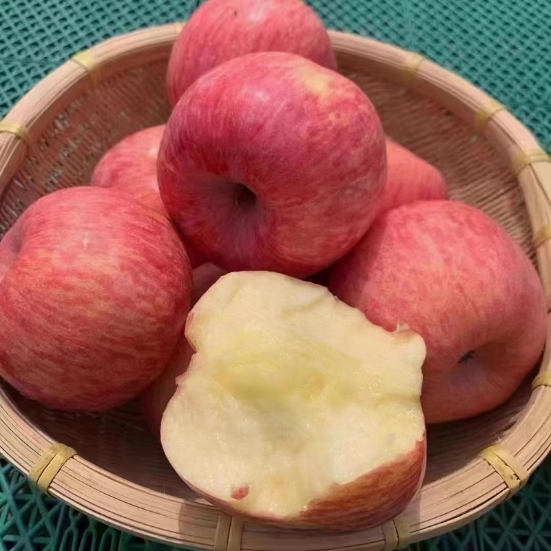 【品质不打折】新鲜水果10斤装陕西延安洛川红富士苹果山地苹果