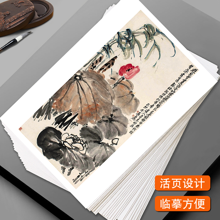 国画临摹卡名家手绘合集荷花篇中国风绘画入门艺术教学全套48幅