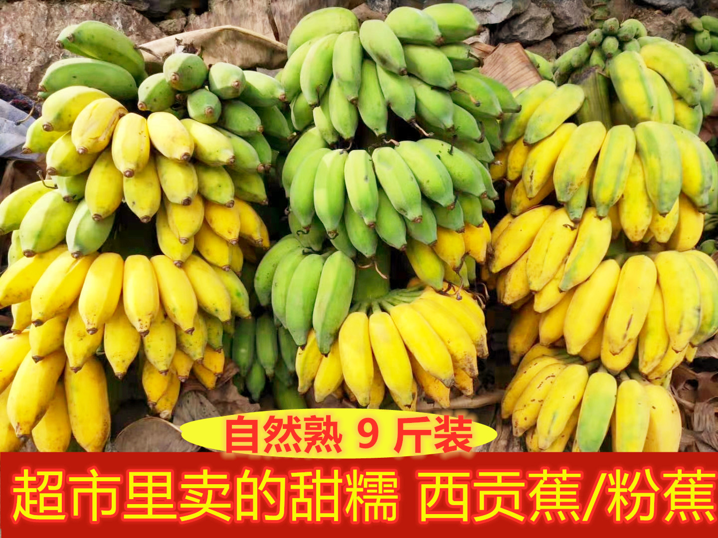 广西香蕉西贡蕉粉蕉自然熟香甜软糯新鲜水果非小米蕉整箱10斤包邮