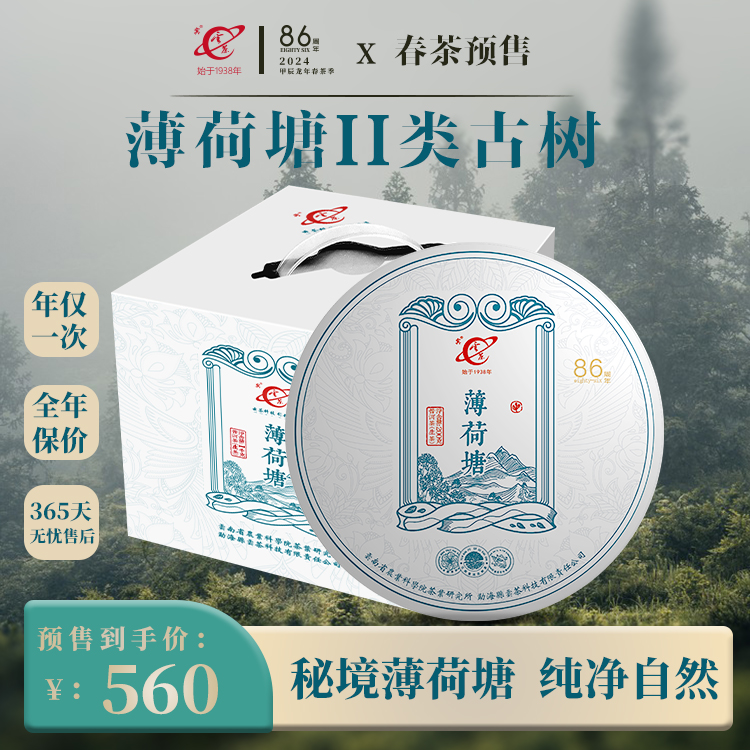 2024春茶预售云南茶科所云茶科技薄荷塘古树纯料高杆普洱茶生茶饼
