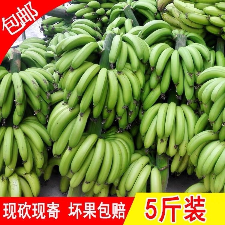 现摘高山甜大香蕉新鲜水果芭蕉当季整箱非小米蕉苹果蕉广西海南