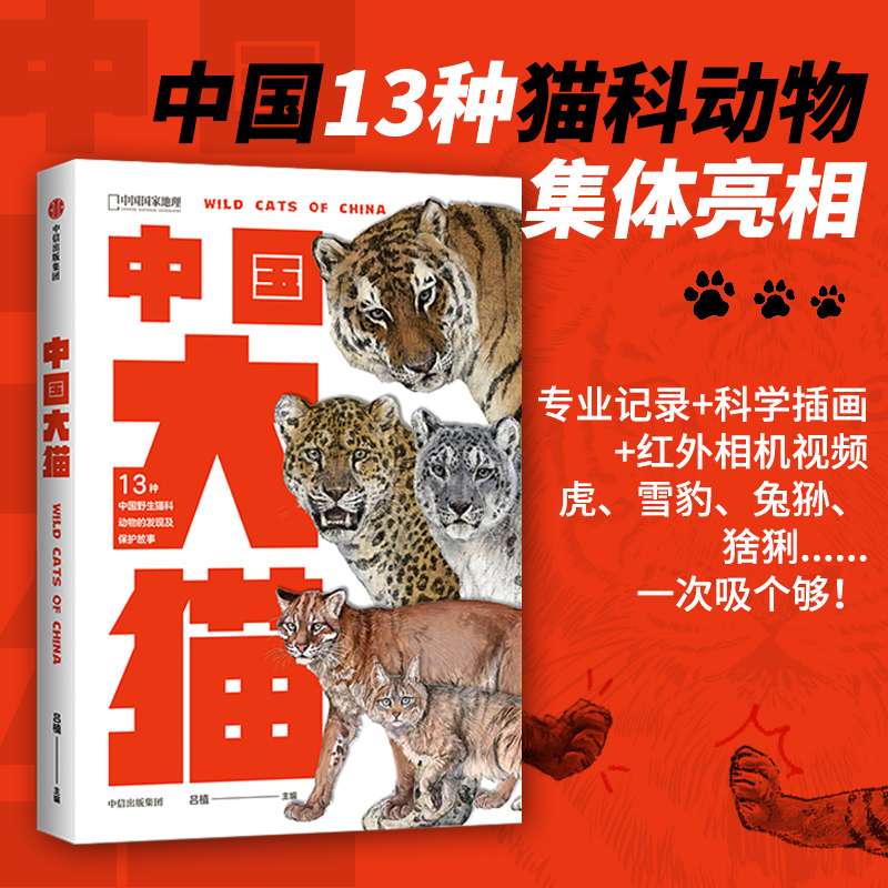 中国大猫 13种野生猫科动物的发现及保护故事 哺乳动物猫科动物种类大全生物图鉴书籍神秘野生动物大猫咪图书集 中信出版社 正版
