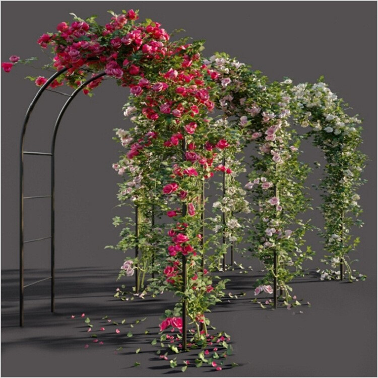 简易园艺拱门婚庆户外铁艺花架装饰道具月季葡萄植物爬藤架