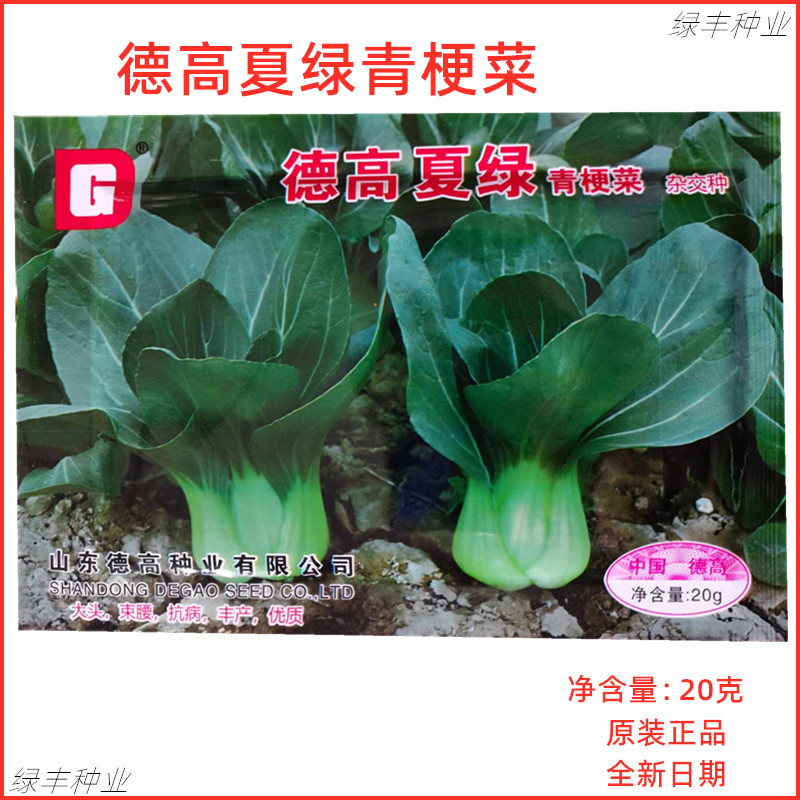 德高 夏绿青梗菜种子 杂交青菜上海青耐热良种春夏秋冬季蔬菜种孑