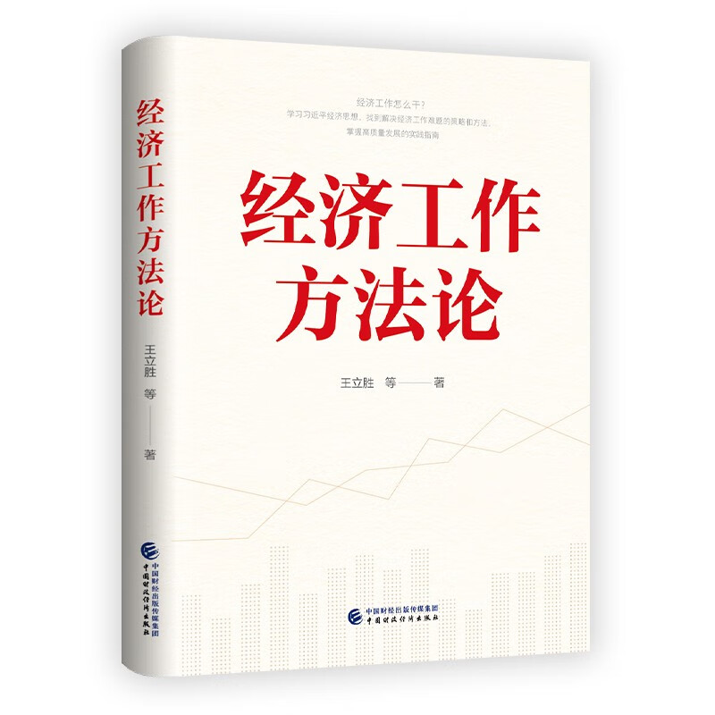 经济工作方法论 王立胜 著 中国财政经济出版社