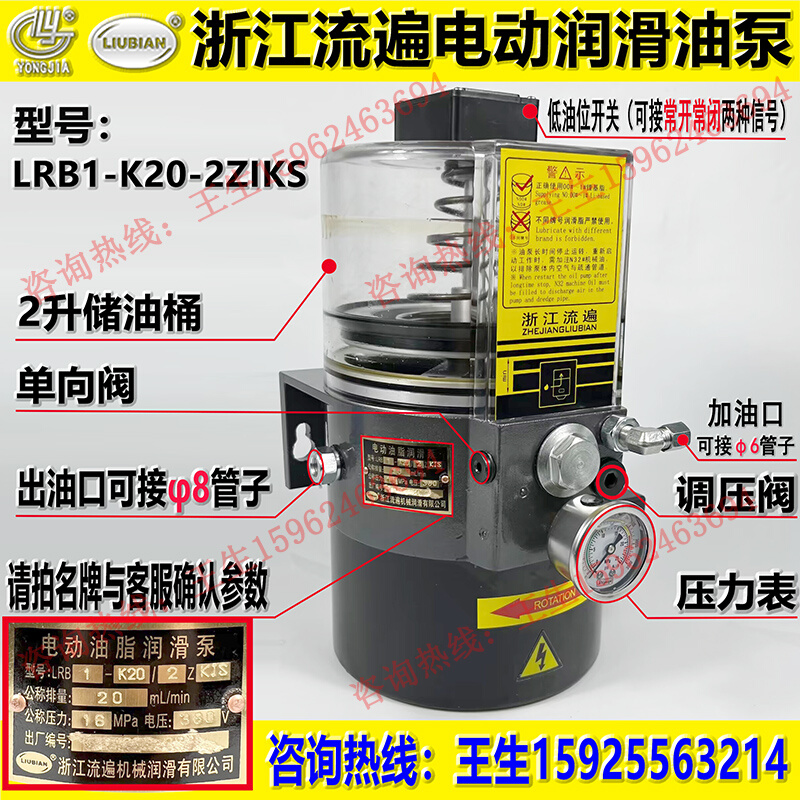 。浙江流遍电动油脂润滑泵LRB2-K30/3ZI冲床黄油泵浓LRB1-K20/2ZK
