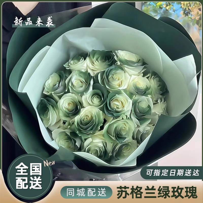 全国苏格a兰绿玫瑰花束鲜花速递同城上海北京广州配送女友生日店