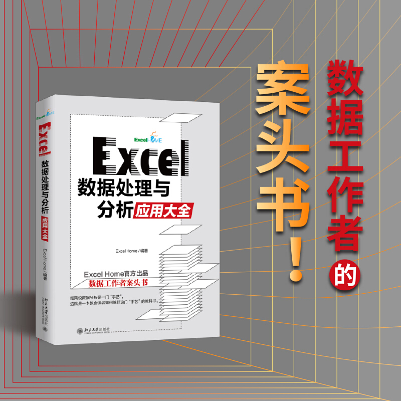 Excel数据处理与分析应用大全 ExcelHome出品 AI时代数据分析数据可视化宝典excel