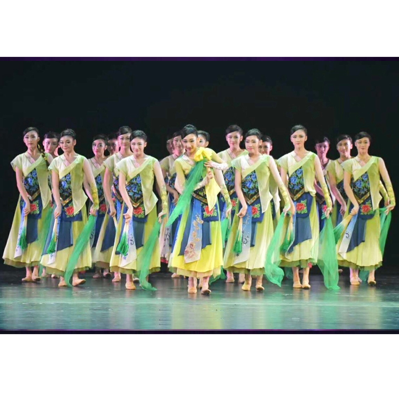 古典舞蹈服女飘逸中国风两件套装春采演出服群舞舞台表演服装定制